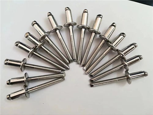 鋅衡標準件廠家 優(yōu)質(zhì)拉花鉚釘供應(yīng)商及其聯(lián)系方式